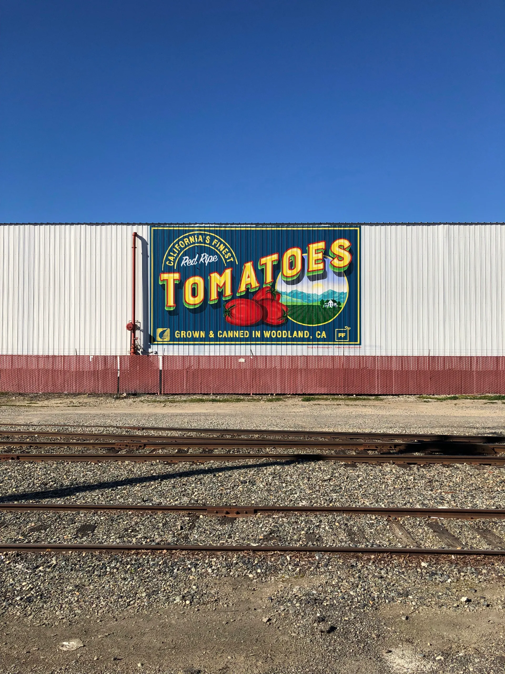 IMG 0250