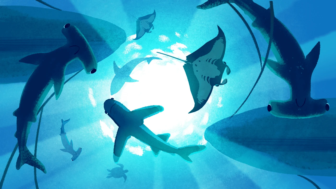 illustration showing a scene of sharks swiming from underneath