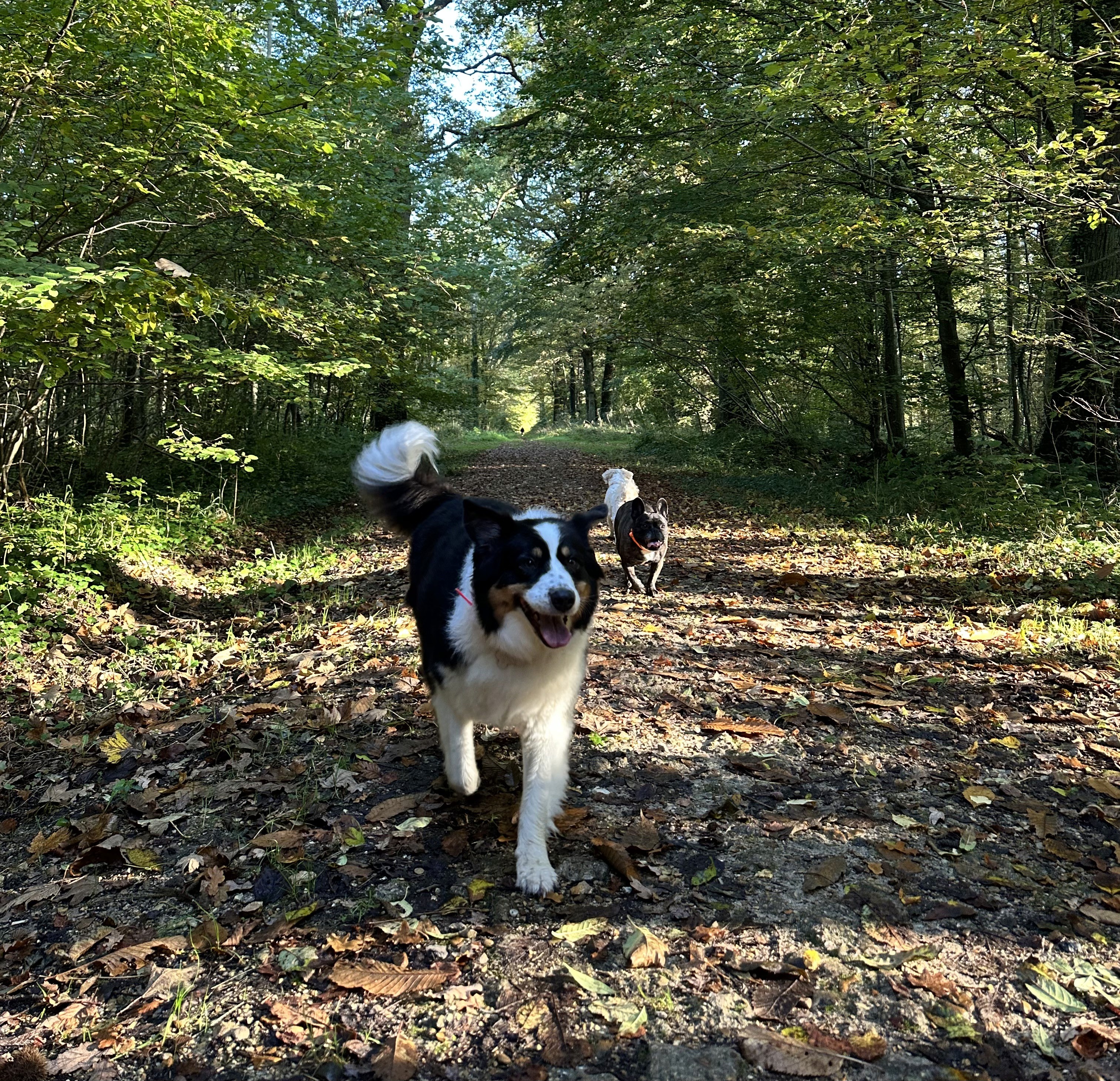 Una&Co Photo Balade éducative