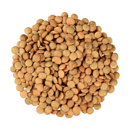 Bali beach (Background Removed)