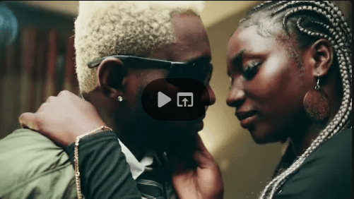 PHILOMENA (VISUALIZER)