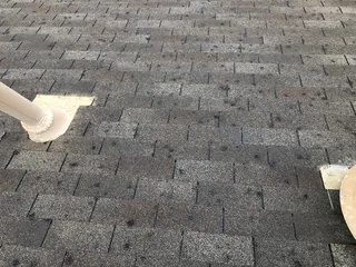 Shingle hail damage documented during a roof inspection