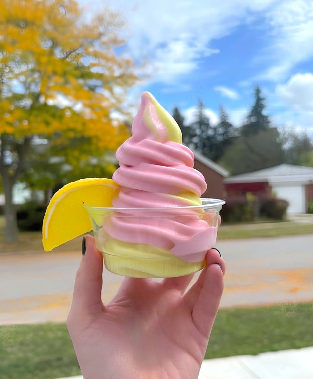 Hand holding a pink soft serve ice cream dish at Shady Shack Buffalo NY