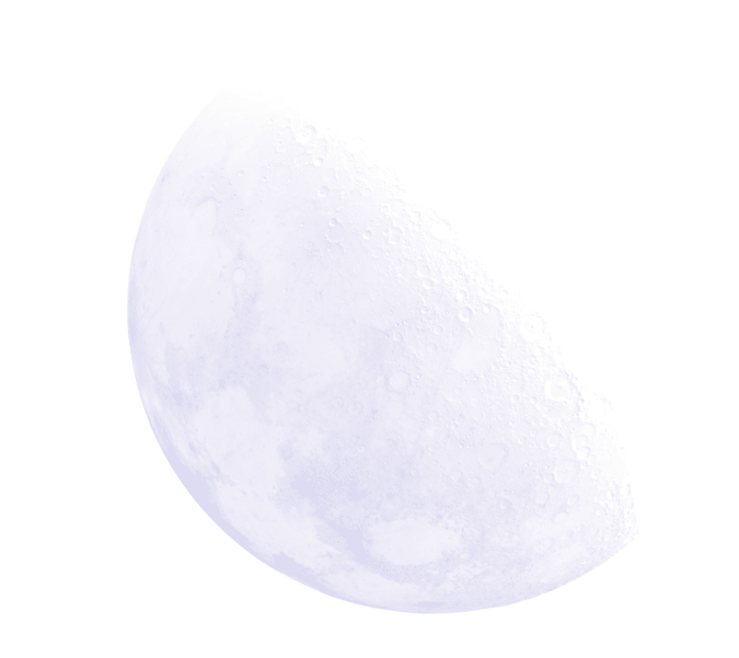 Logo rond Whiscat Studio – Studio web design interactif et sur mesure