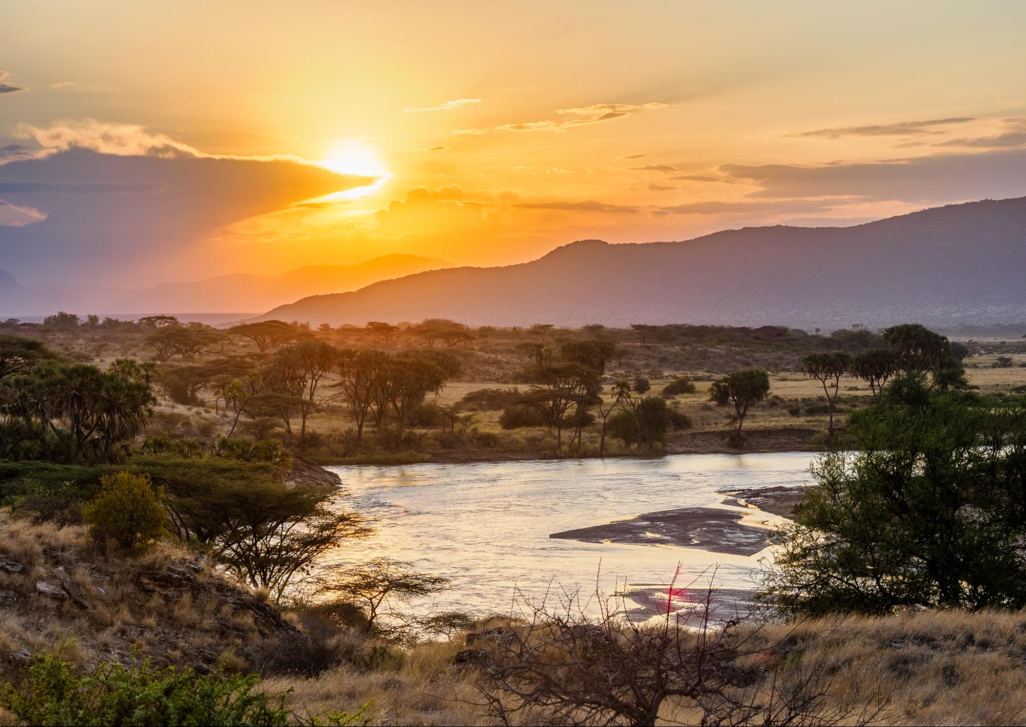 Blue Monday sunset in Tanzania's Serengeti