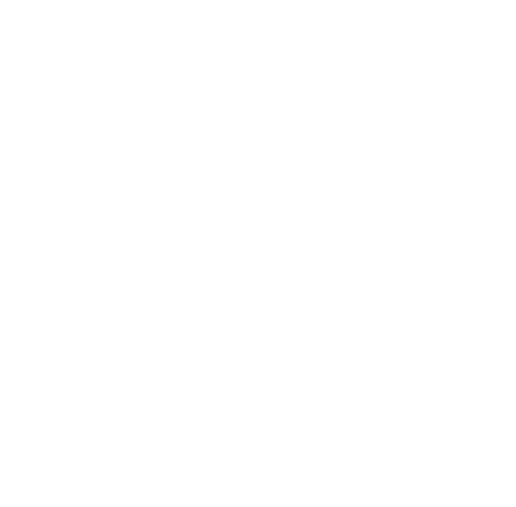 Championing social care logo