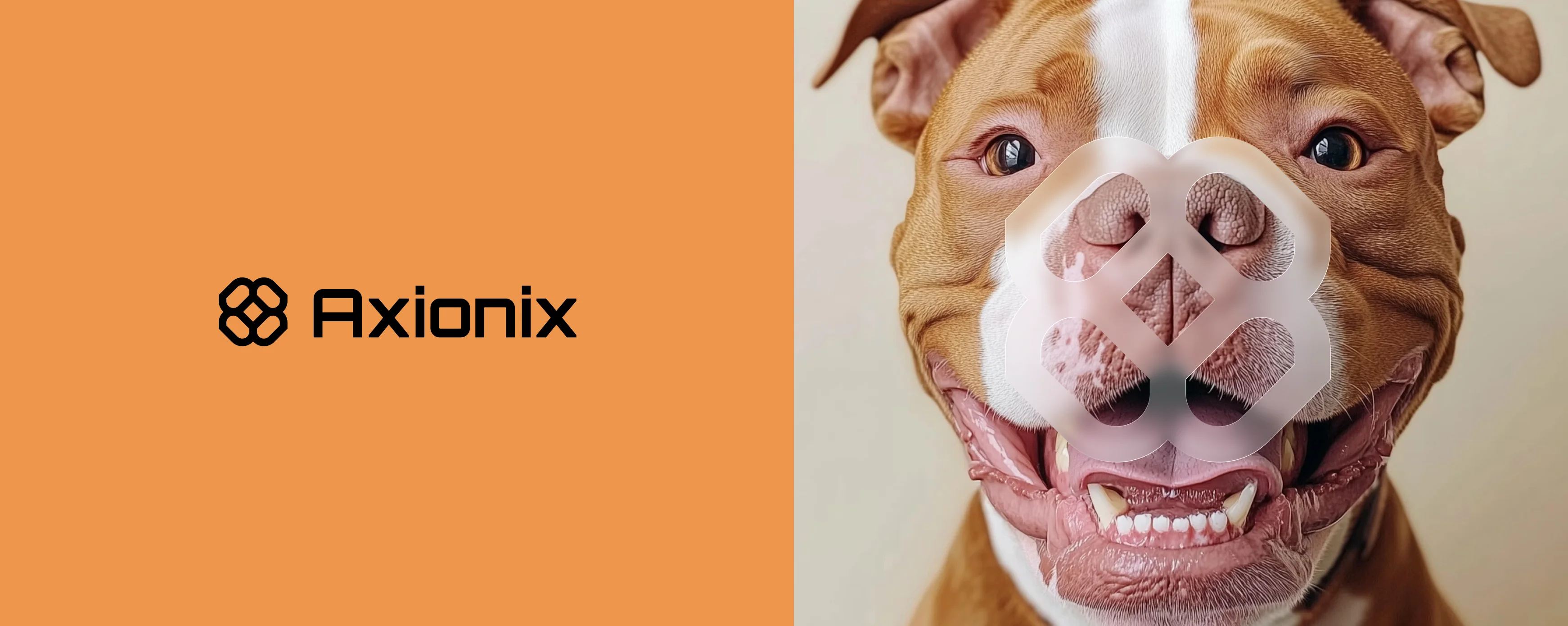 Minimal image, calm colors