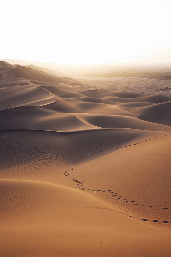 A bright white sky over sand dunes that stretch for miles