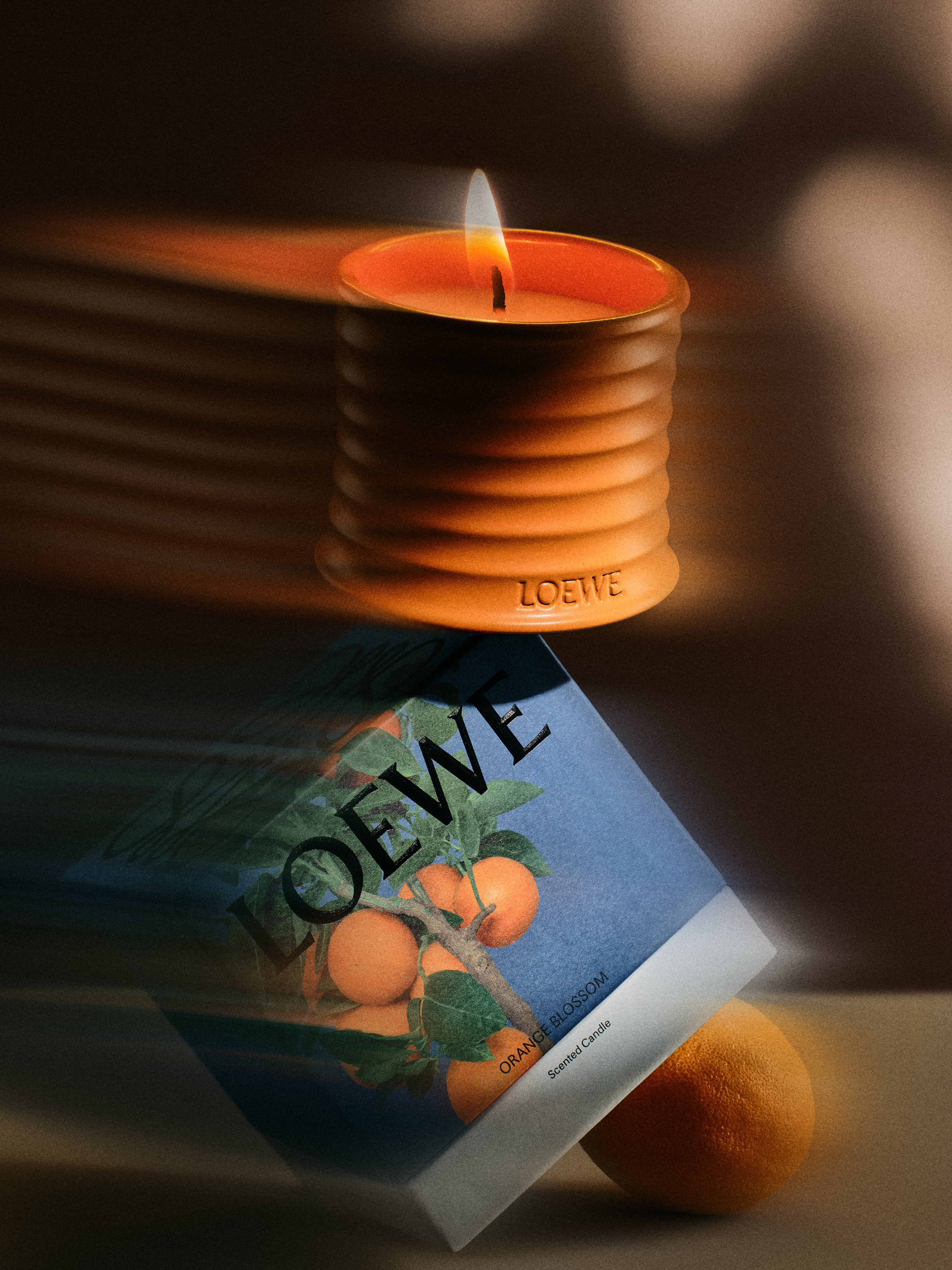 Loewe 1