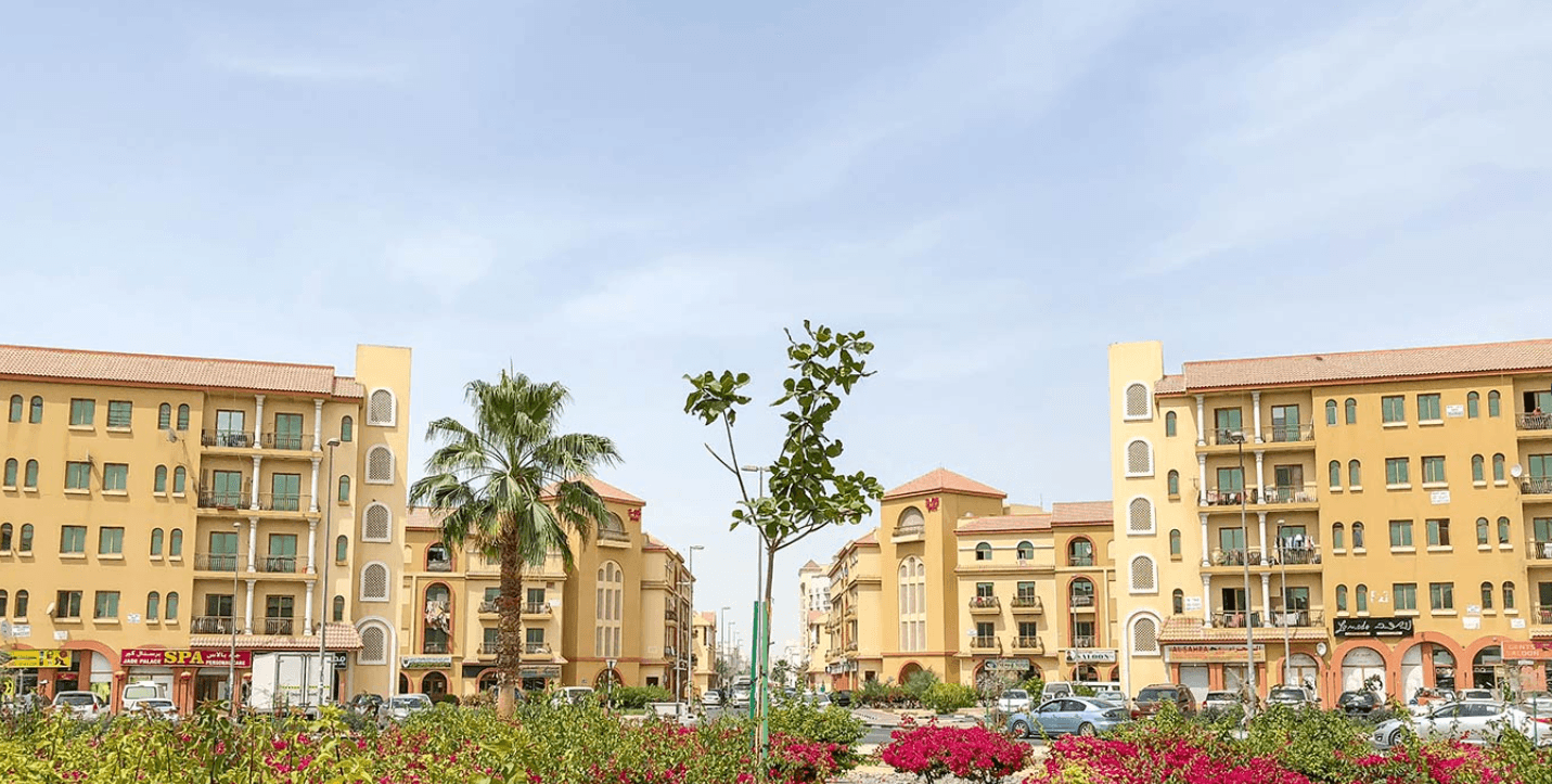 A large park in International City featuring vibrant flowers and tall palm trees under a clear blue sky.