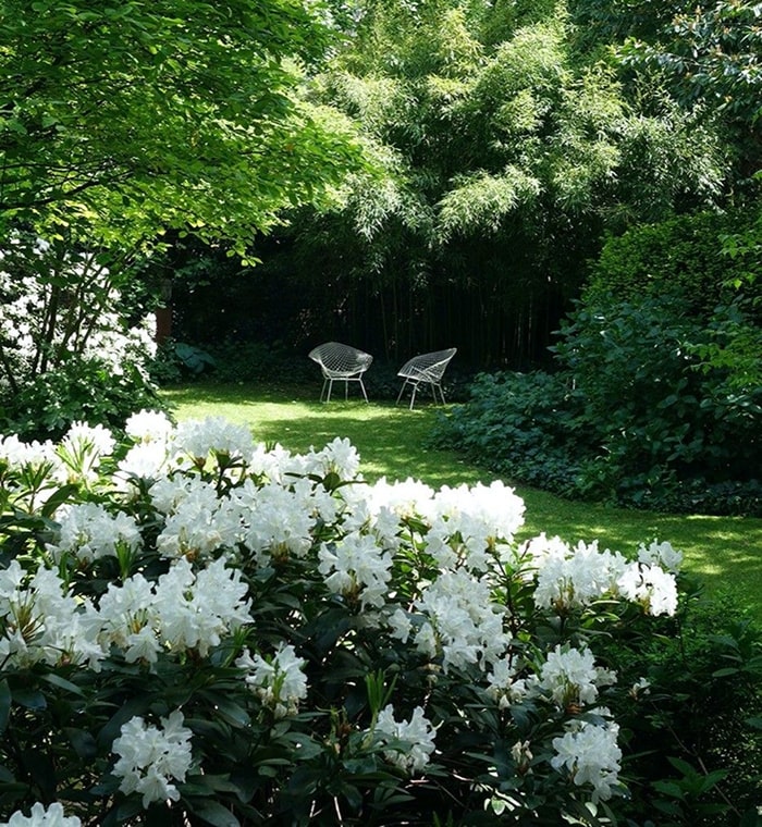 Beautiful landscaped garden with greenery and outdoor design elements.