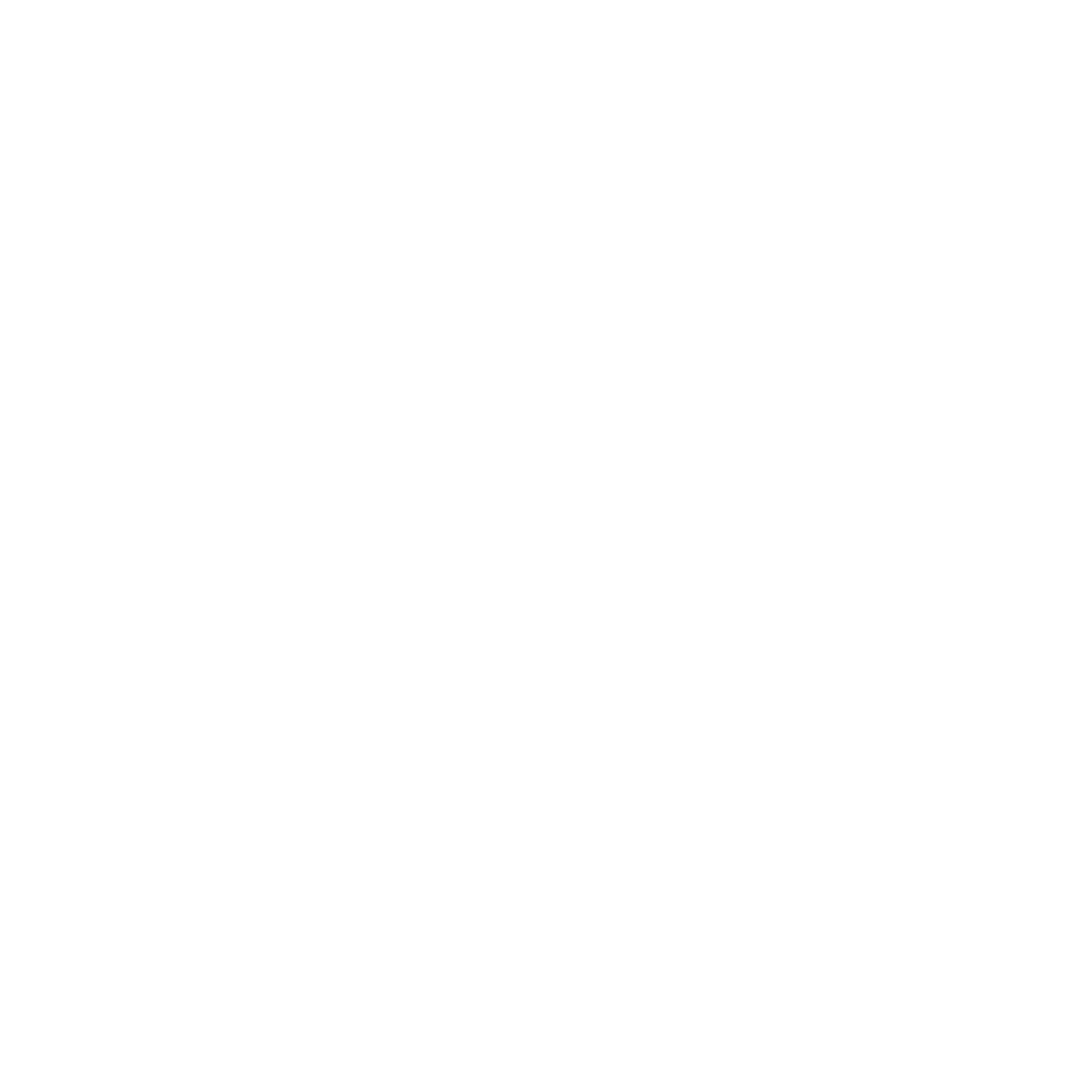 Beauty of F1 logo
