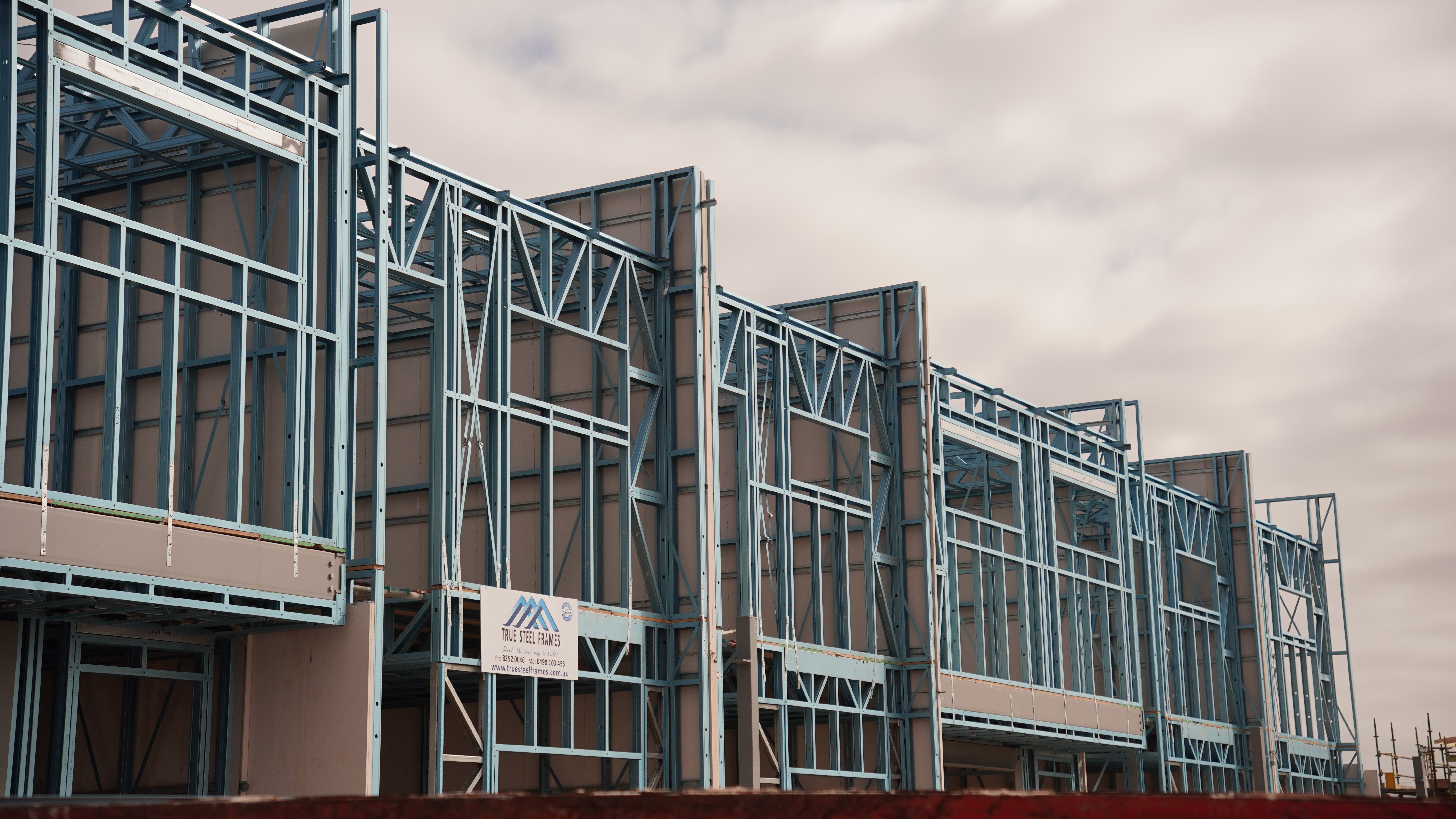 Close-up of a dark green leaf showing its textured surface and central vein against a muted background.