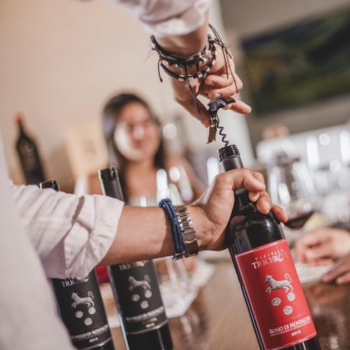 Montalcino: Vineyard Tour + Wine Tasting tickets in Montalcino