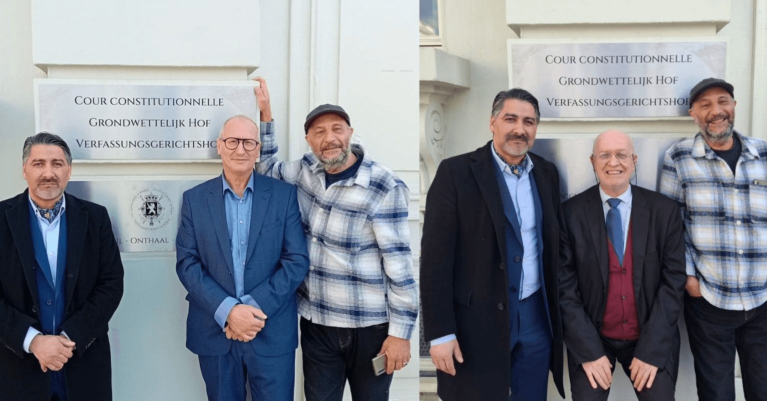 Close-up of lush, dark green leaves, some glossy and wet, against a muted background.