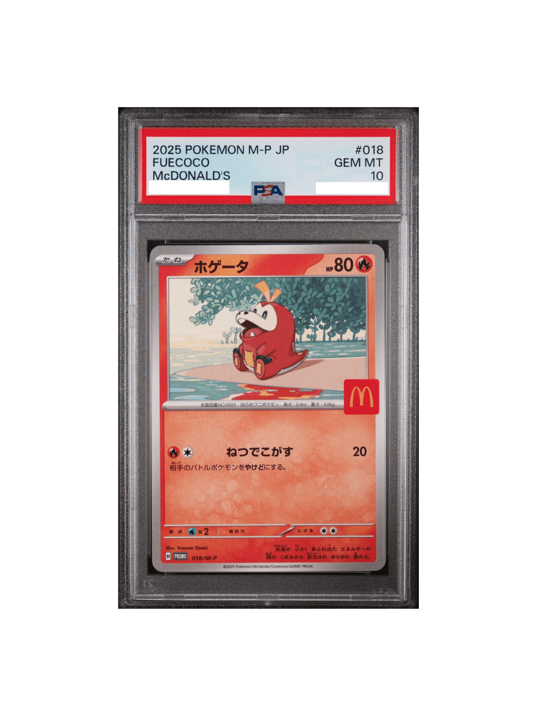PSA10 ホゲータ P [M-P 018] - PSA10 郵送買取