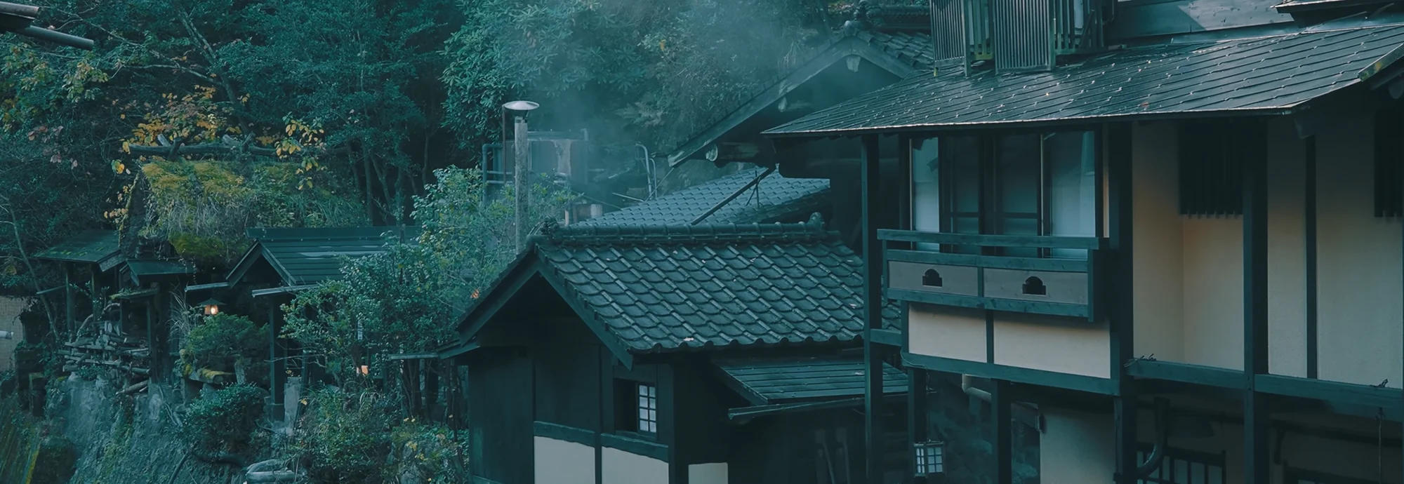 Dark timber inns among bare trees with steam rising in morning mist
