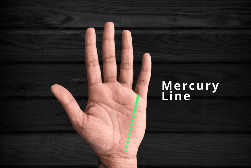 Mercury Line in Palm Reading - Palmyst