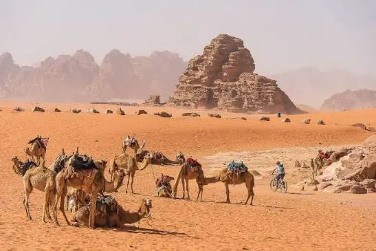 Egypt & Jordan 