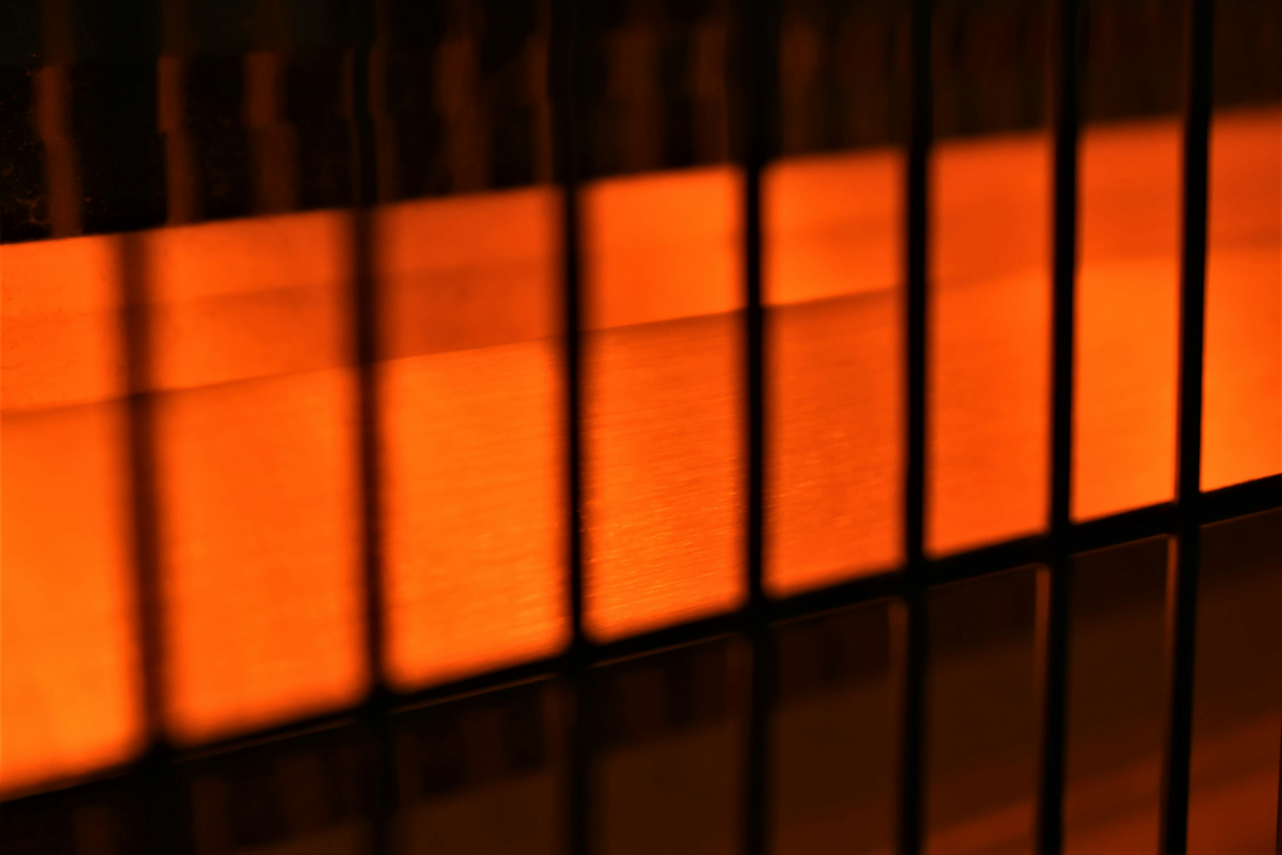 orange and black binders
