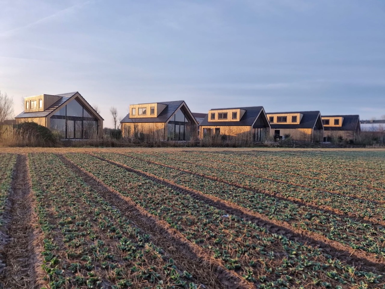 Project van Voors Elektrotechniek: Recreatiewoningen in t'Zand