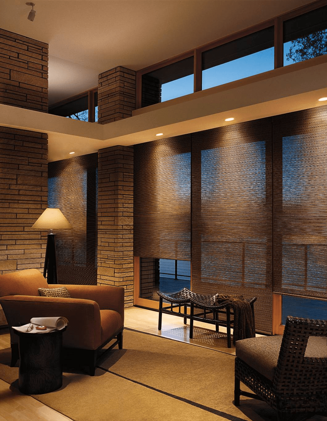 Designer Roller Shades in Living Room