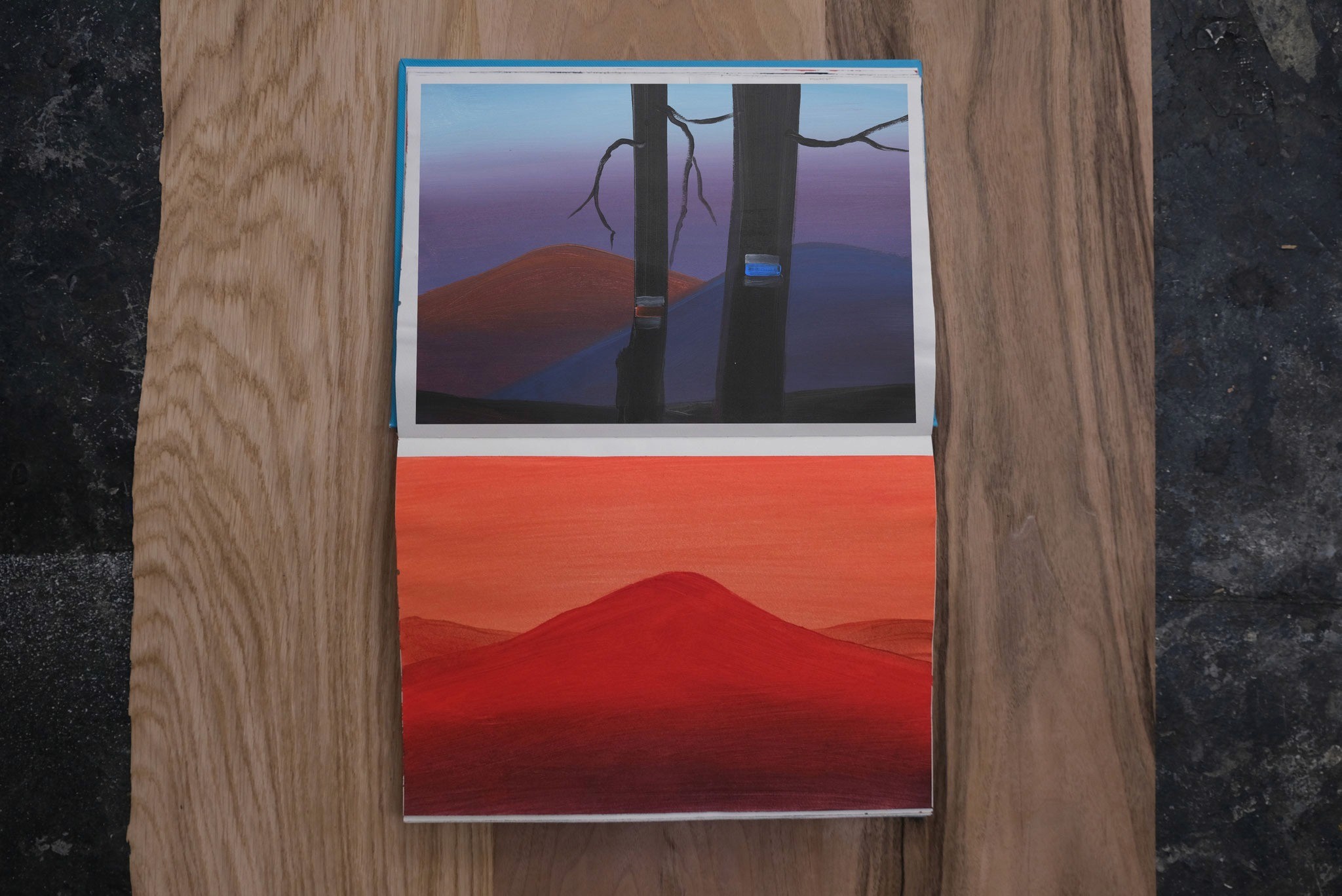photo of the drawing notes and two pictures: one is black trees in the mountains and te second is the orange mountain