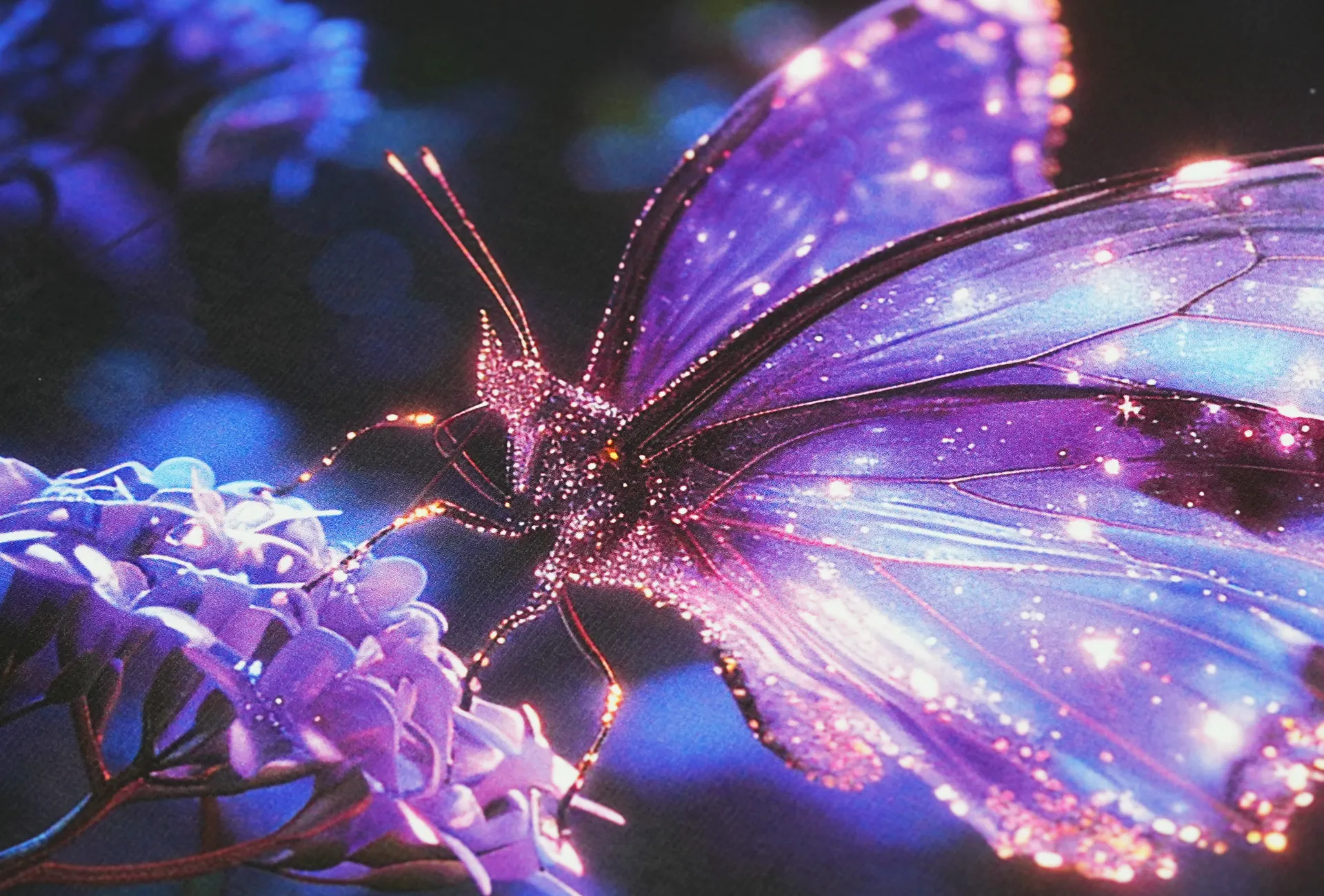 A high-quality butterfly print from the Gravity Pro DTF printer, showcasing vivid color reproduction, rich contrast, and sharp industrial-grade details.