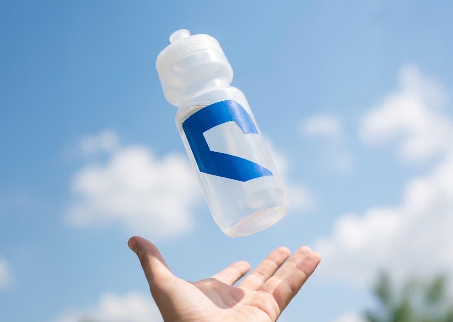 Maquette qui illustre le rebranding sportif de criq'arena