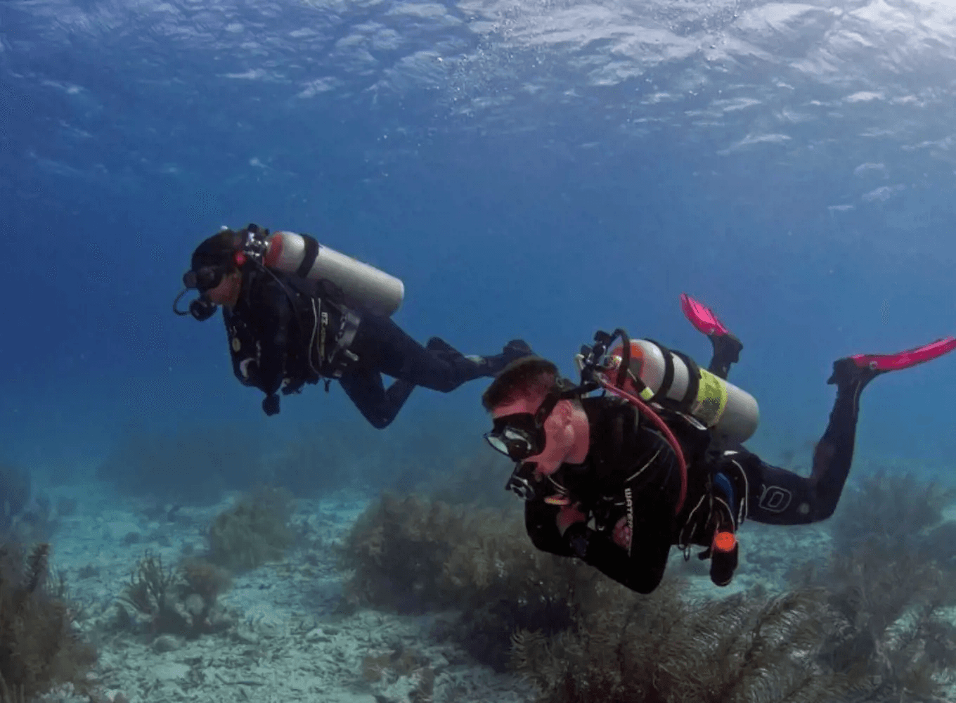 Beginners and experts diving in Bonaire