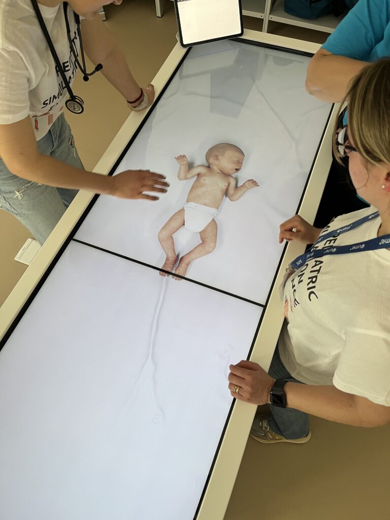 Simulation in progress at SIMNOVA