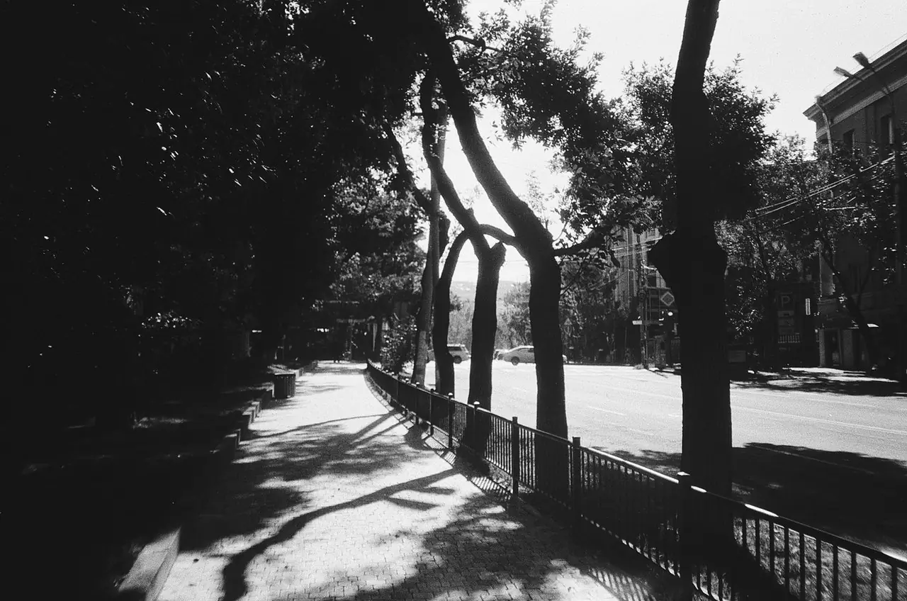 Intimate Frame Study