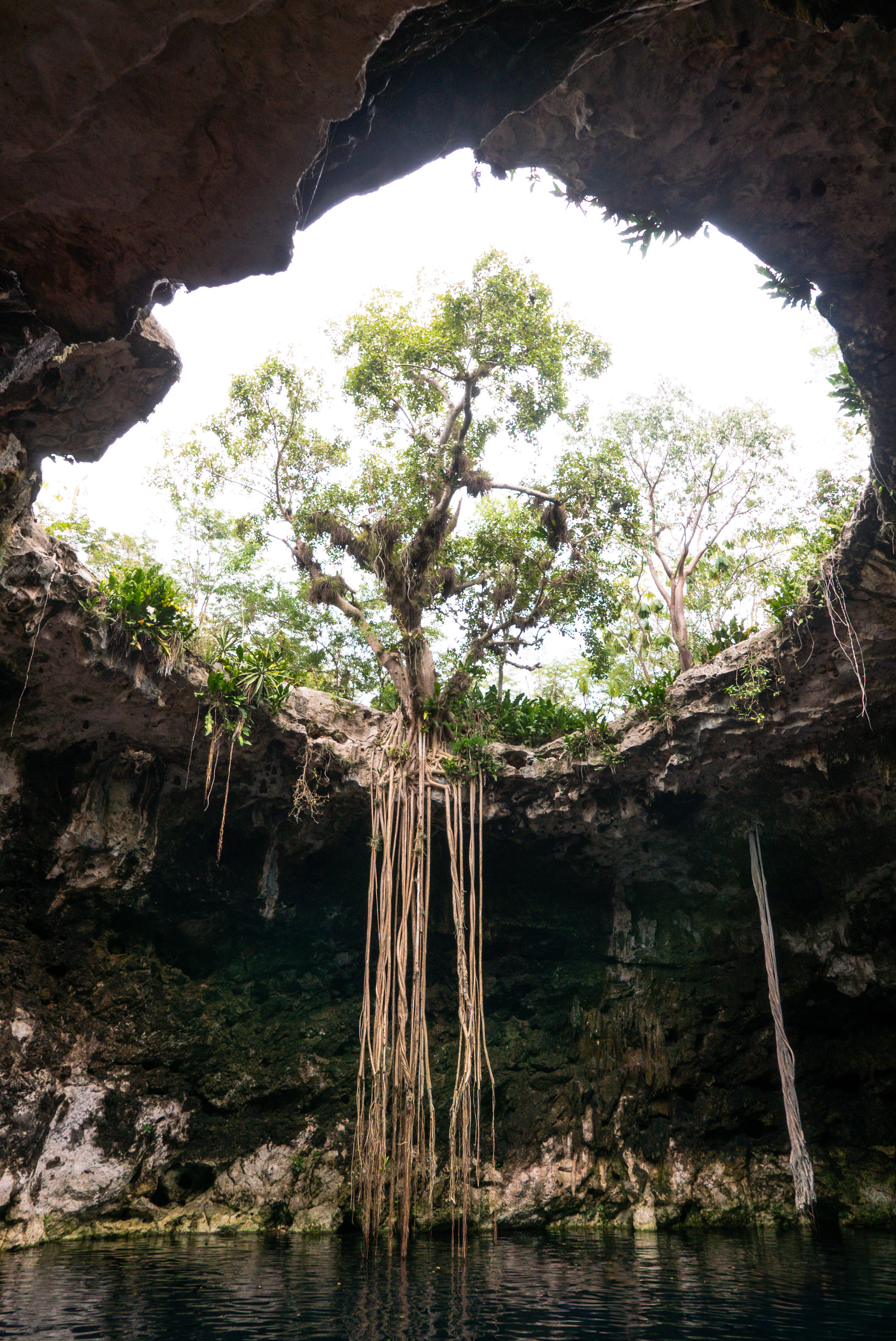 Image 10