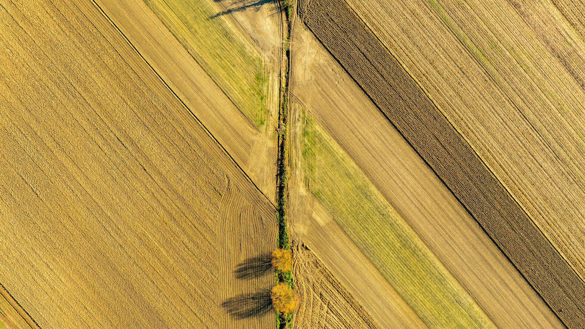 vecne-bremeno-zalozne-pravo