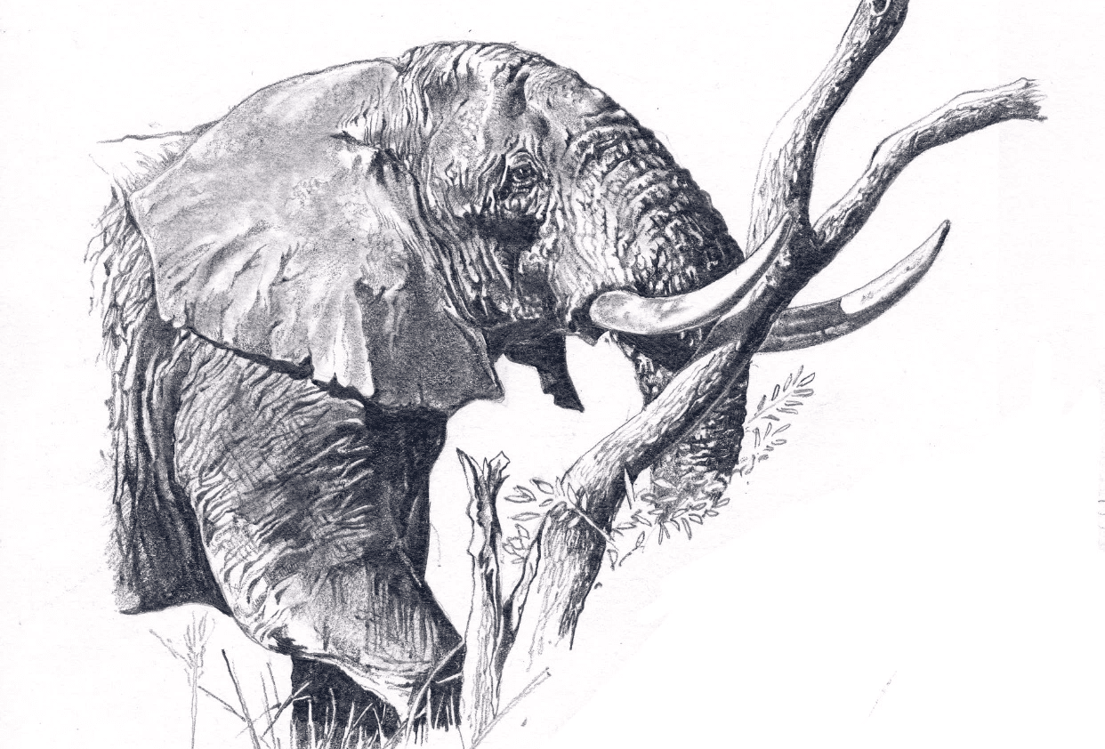 Cyril Amarchand Mangaldas