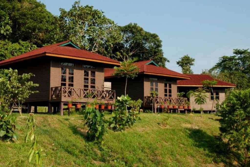 Sepilok Forest Edge Resort lodges