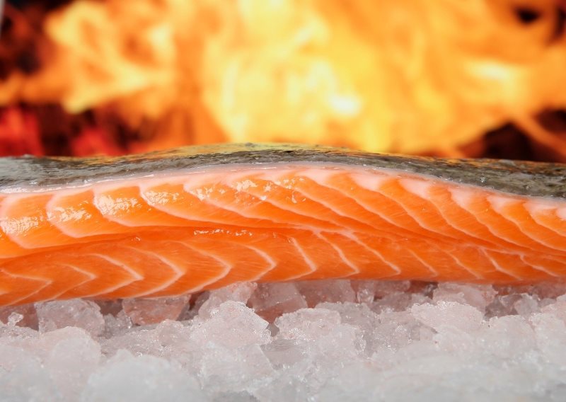 Salmone e omega 3