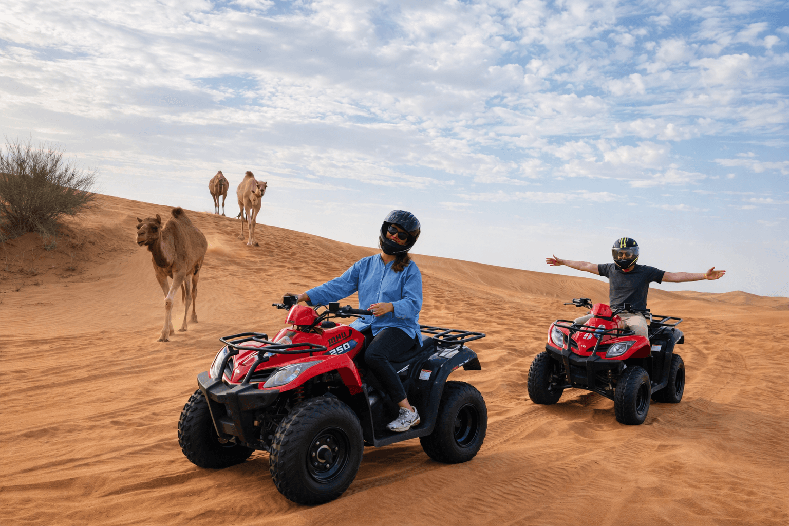 Tourists riding ATVs alongside camels during a Dubai desert safari adventure with Dune Quest Tours