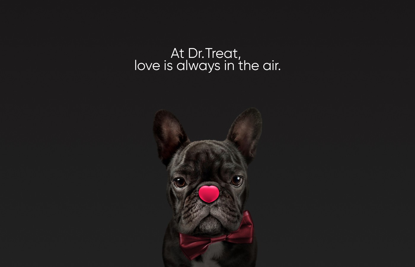 Dr. Treat pet healthcare branding by BMEG, featuring a clever logo where a pet’s nose is shaped like a heart, using custom rounded typography to convey a warm, compassionate, and digital-first clinic experience.