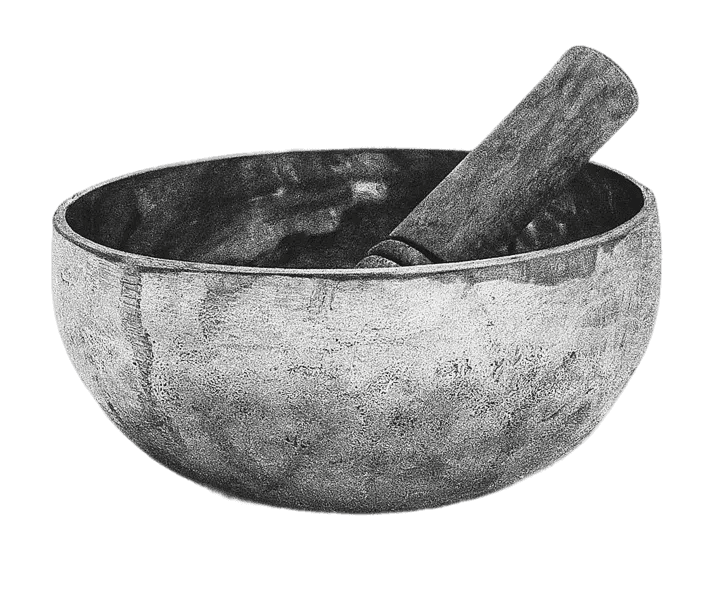 Tree branches reach towards a clear, blue sky.