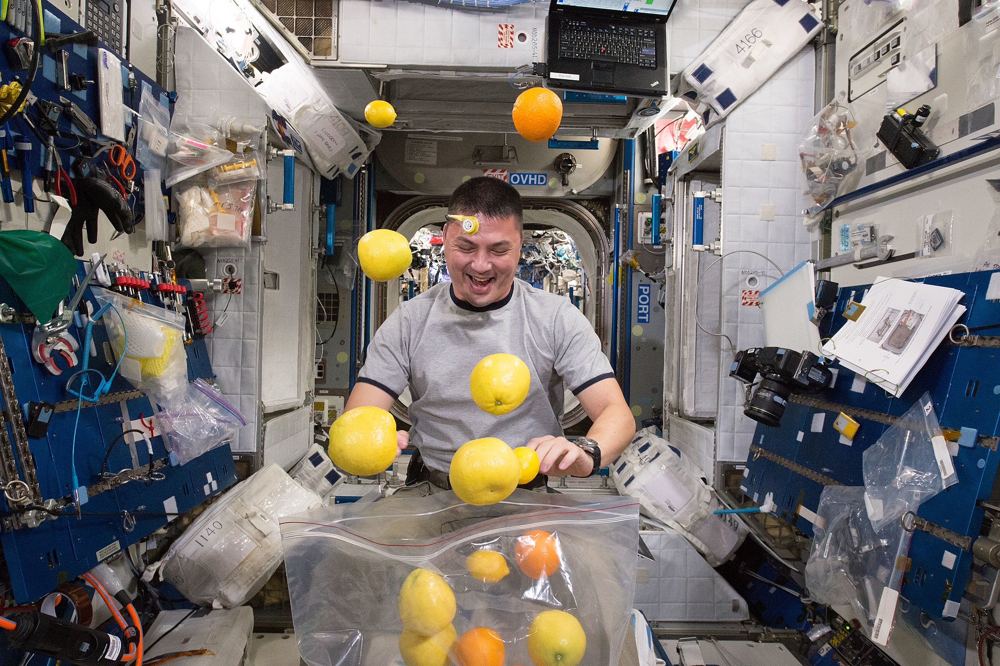 NASA astronaut