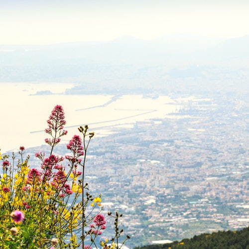 paesaggio