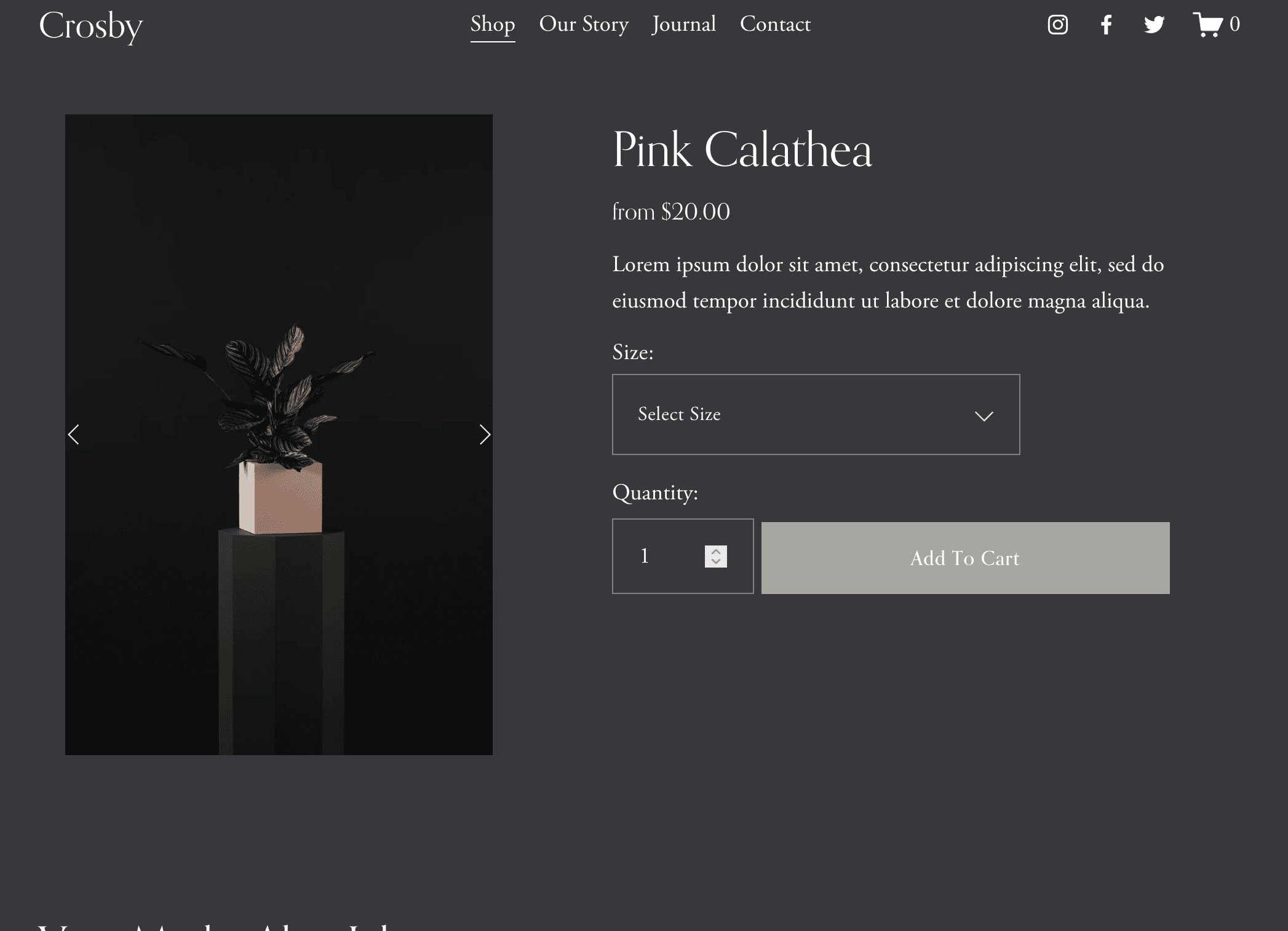 Squarespace CAPI