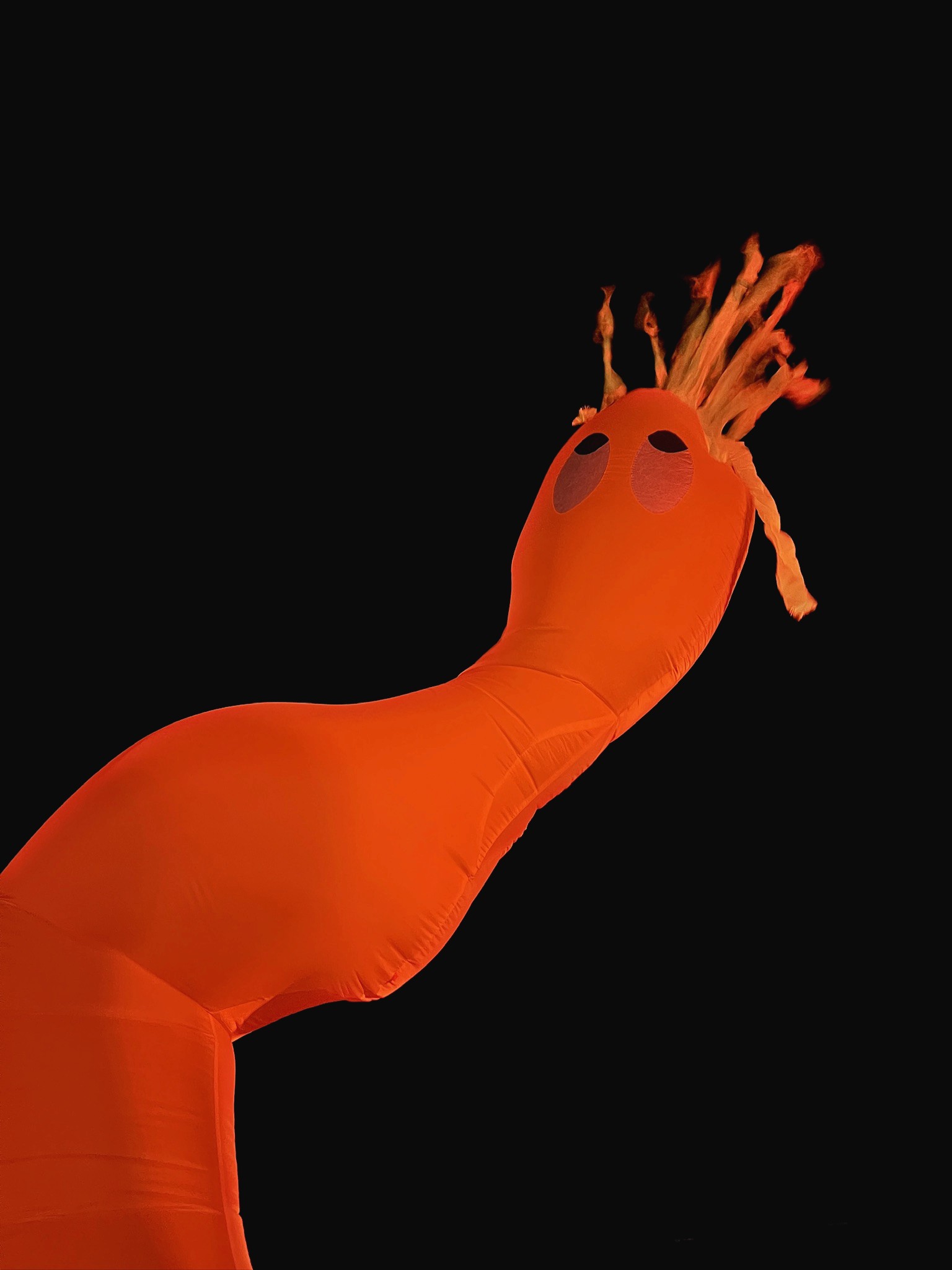 Illuminated sculptures in a dark setting, creating a striking visual display against the night sky.