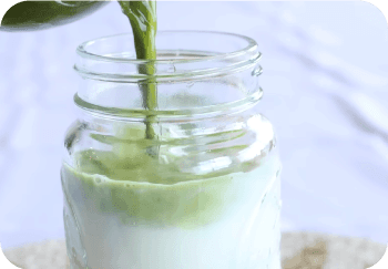 HOW TO MAKE MATCHA - HOW TO BASIC