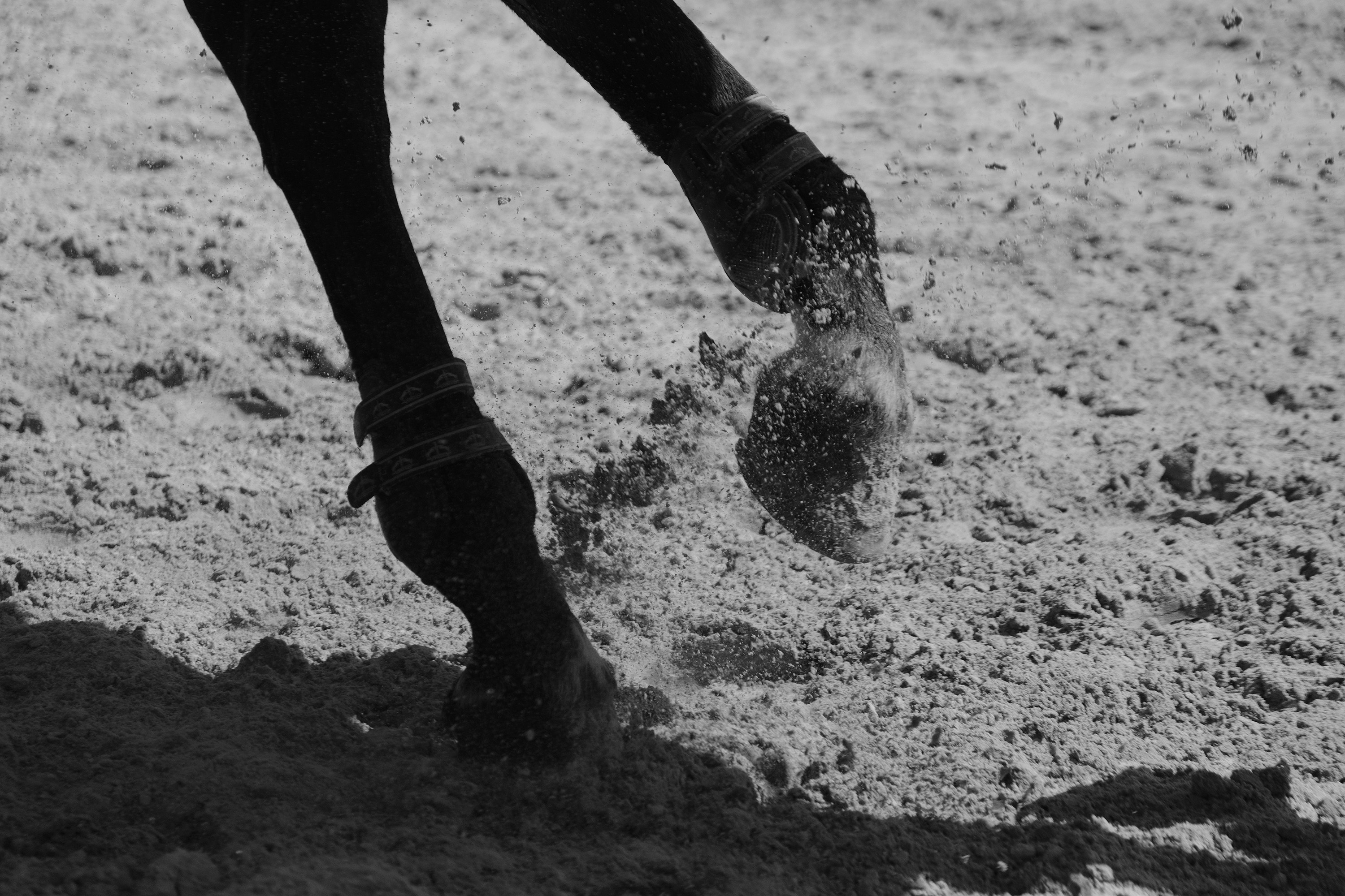 Horse hooves kicking up sand on a track
