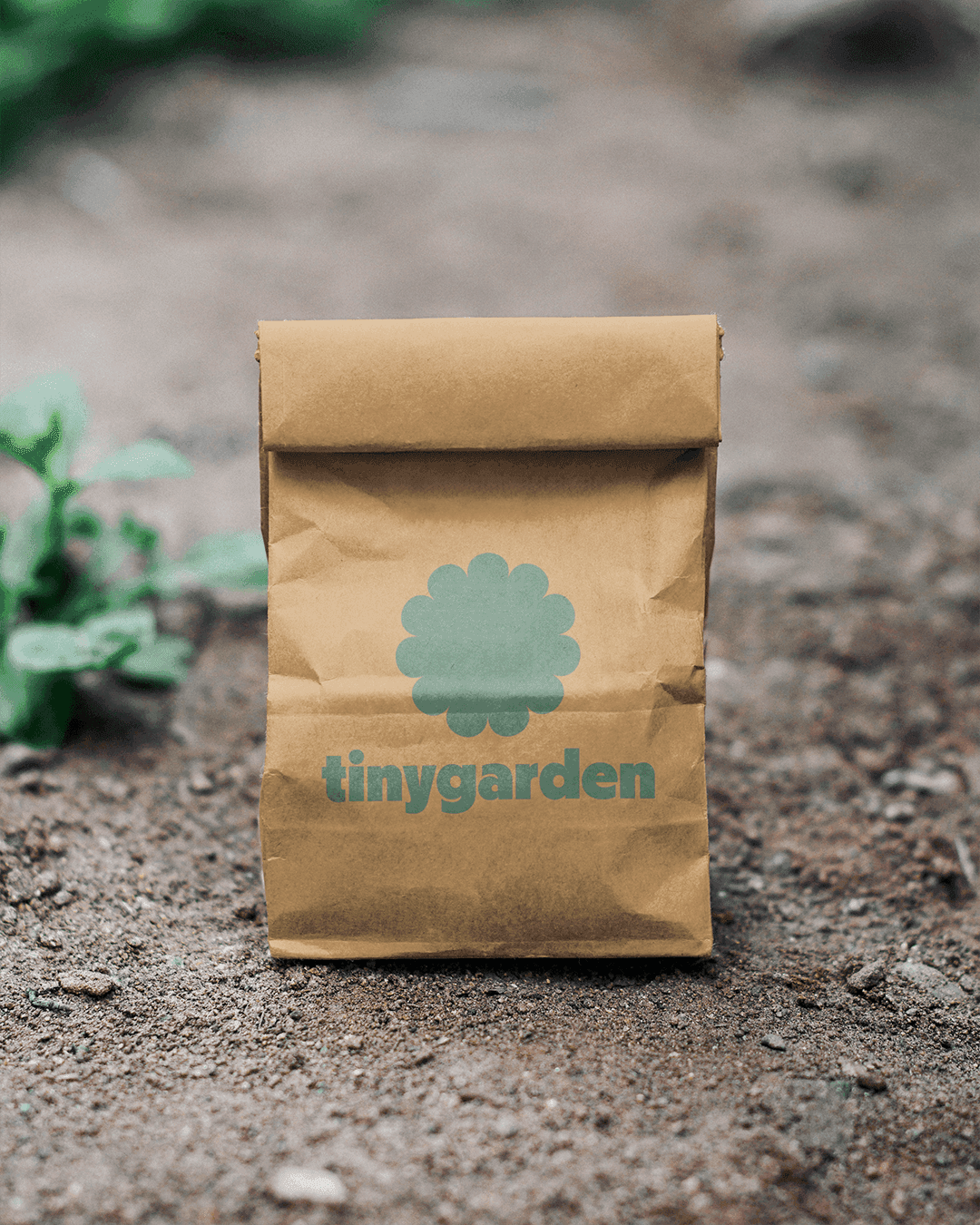 tinygarden brand collateral showing the visual identity system applied across print and environmental touchpoints