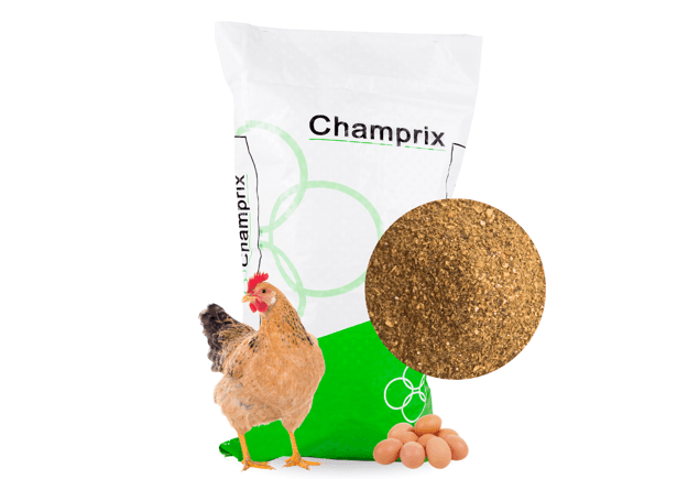 Champrix Layer Concentrate 5%