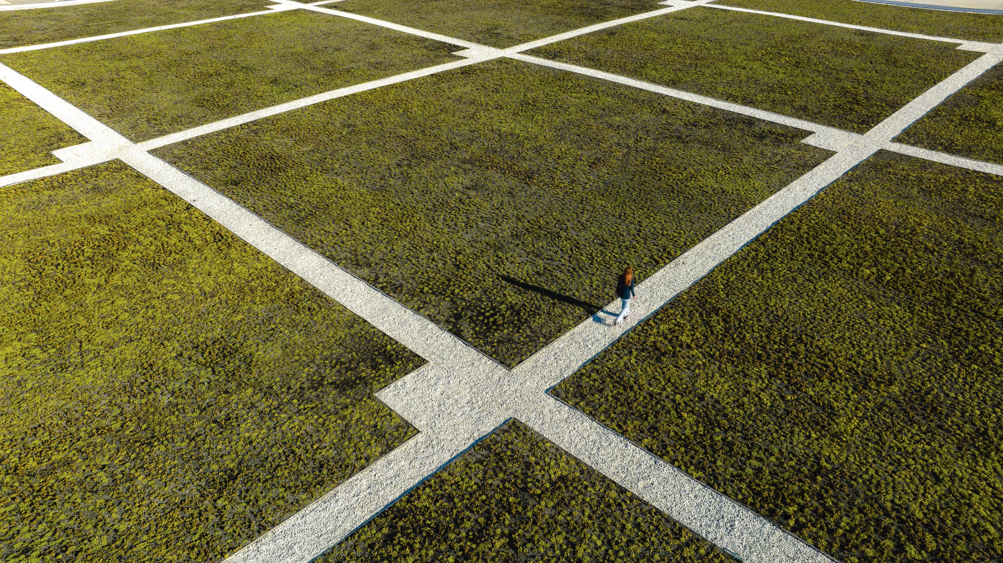 square-shaped grass paths