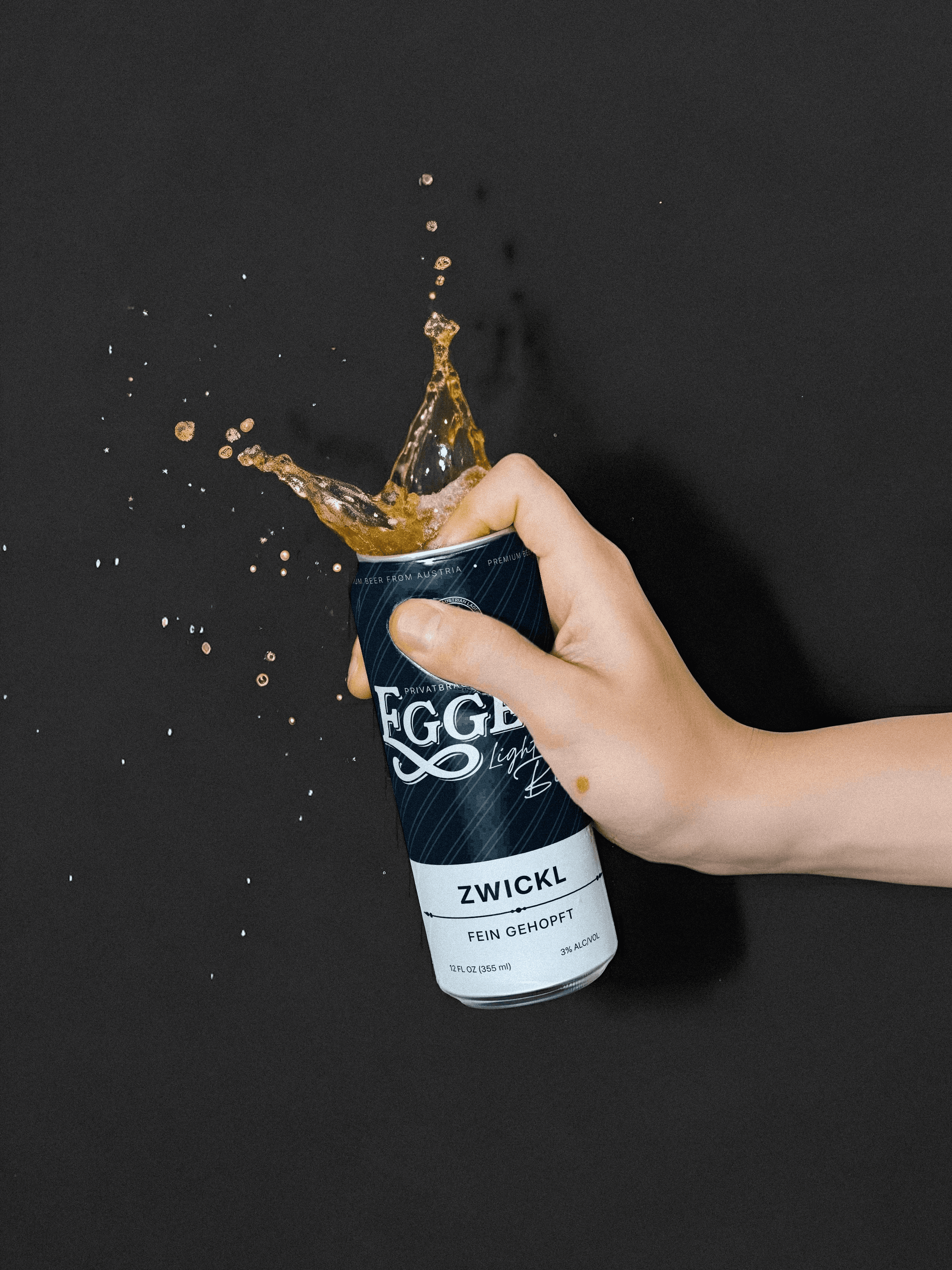 Project Oblique Reception Photograph